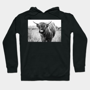 Highland Cow Landscape, Black and White Hoodie